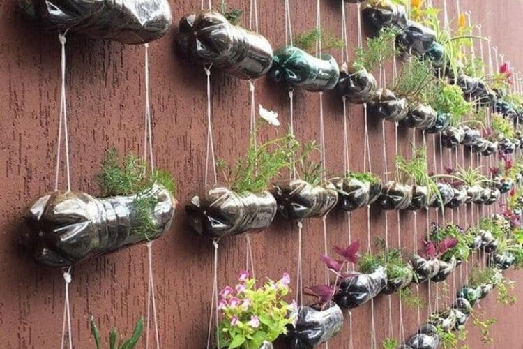 Horta com garrafa pet