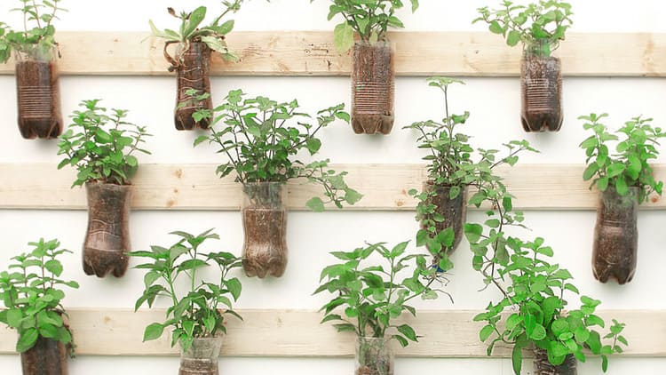 Como Montar uma Horta Vertical com Garrafas PET