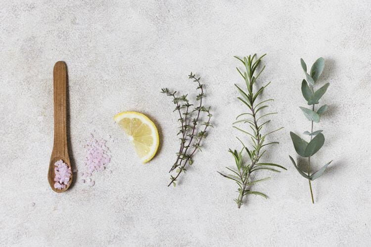 Plantas Medicinais Que Você Pode Cultivar em Casa